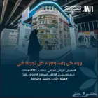 مصممة جرافيك