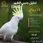 تحليل جنس جميع الطيور عرض 15 شامل نتف العينات