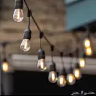 عقود لمبات (توصيل مجانا)