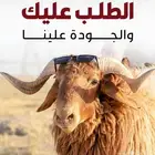 ساهم في بيع الاغنام معنا والارباح تقسم بالتساوي