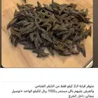 عود زعفران
