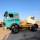 راس البي مجدد مفحوص