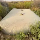 راوية سعة عايدي