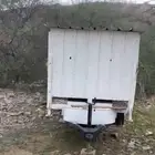 عربيات