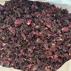 كركدية نيجيري درجة أولى عالشرط