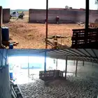 كمرات بعدستين