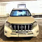 برادو 2014   6 سرندل