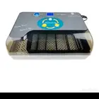 فقاسة 12 بيضة