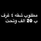 ابحث شبه للايجار