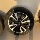 جنوط يارس اخو الجديد اصلي وكاله 2021