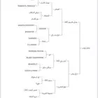 حصان واهو