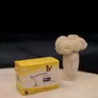 فري لايف ستايل لبيرا