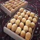 تمر خلاص فاخر لقط يومي متوفر كميات على الطلب