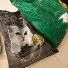 اغراض قطط للبيع