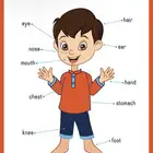معلمة اللغة الانجليزية