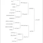 مهرة شقراء مستوى عالي