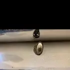 خاتم عقيق سليماني