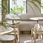 كرسي فخم من الخشب الزان