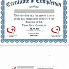 دورة جمعية القلب الامريكيه BLS ( الدفع بعد الانجاز).