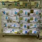 اقفاص طيور