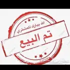 ذكر كناري ستنايت حجم سوبر جامبو(( تم البيع ))