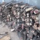 حطب