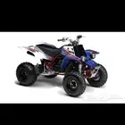 مطلوب بانشي