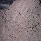 نوفر عقل الأشجار البرية على الطلب