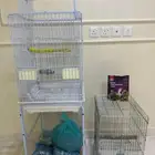 قفص ببغاء كبير