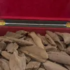 نوادر الموروكي