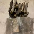 حطب مستورد