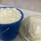 زبد بقري
