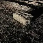 علف بلوبنك