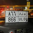 لوحه مميزه دلو