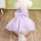 ملابس قطط