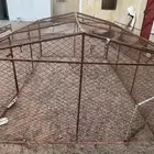شبوك دجاج للبيع