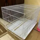 اقفاص وبياضات وحب طيور