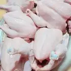 دجاج لاحم بدون هرمون