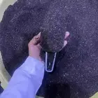 عسيب او نفض او سرف جاذب خلايا النحل مجرب ومضمون بأذن الله