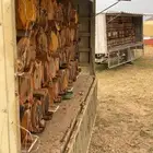 عسل جبلي جديد من منحلي شخصيا