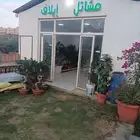 تصفية شاملة مشاتل ايلاف