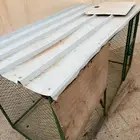 شبك للطيور والحمام