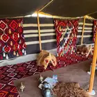 مخيم مزرعة دان شمال أشيقر