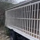 العرضيات