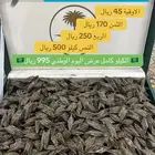 عود التايقر الفيتنامي عرض اليوم الوطني
