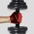 دمبل وزن مدمج وزن 10 كجم