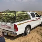 حبحب حملة هيالكس