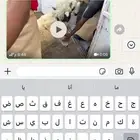 ذبايح تيوس طليان
