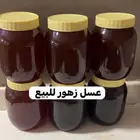 نحل للبيع