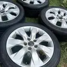 جنوط اكورد